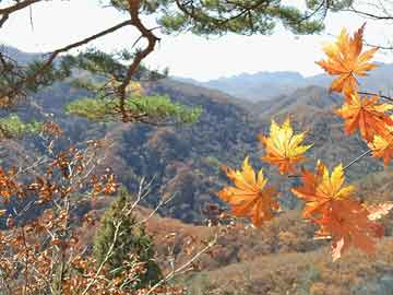 天下彩，免費(fèi)資料大全，手機(jī)直播開獎(jiǎng)報(bào)碼首選平臺(tái)，資料最全更新最快，值得信賴的彩票資訊站，天下彩，首選的手機(jī)直播開獎(jiǎng)報(bào)碼平臺(tái)，最新最全彩票資訊站