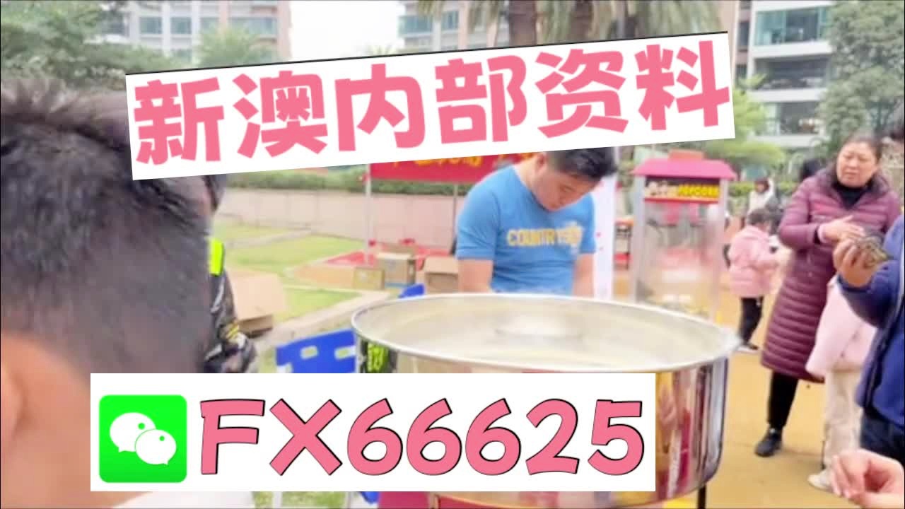 新奧2025資料大全最新版本，全面解析與深度洞察，新奧2025資料大全最新版，全面解析與深度洞察報告
