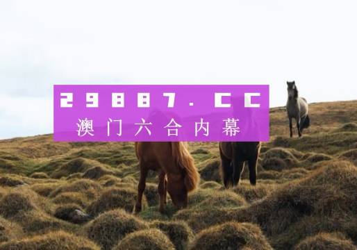 澳門今晚開獎(jiǎng)什么，揭秘彩票背后的秘密與策略分析，澳門彩票開獎(jiǎng)揭秘，策略分析與秘密探索