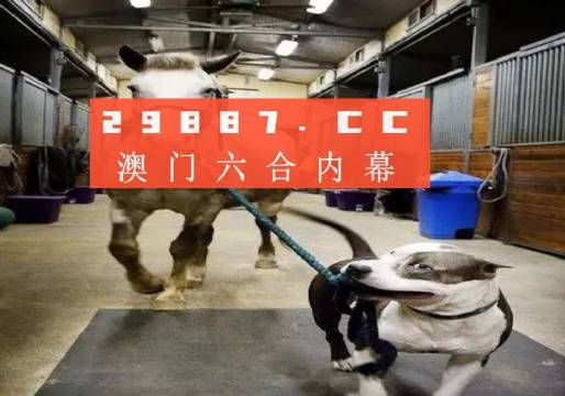 澳門一肖一碼一必中一肖，同舟前進(jìn)的奧秘與策略，澳門一肖一碼必中策略與前進(jìn)奧秘，同舟共濟(jì)的揭秘與策略