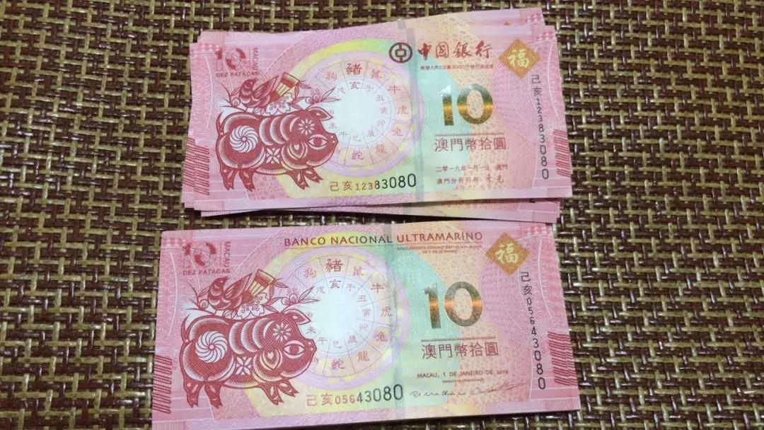 新澳門生肖走勢圖，深度解析與預(yù)測，澳門生肖走勢圖深度解析及預(yù)測報(bào)告