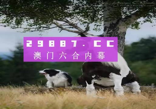 澳門(mén)天天空彩官網(wǎng)資料，探索彩票世界的門(mén)戶，澳門(mén)天天空彩官網(wǎng)資料，彩票世界探索門(mén)戶