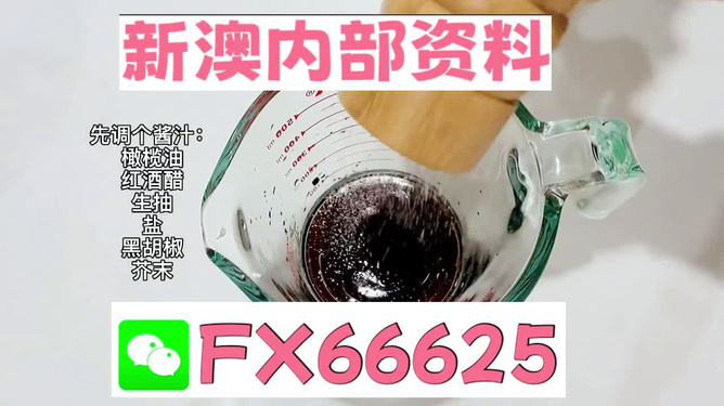 2025年新澳正版免費(fèi)料，全面解析與獨(dú)家資訊，獨(dú)家解析，揭秘新澳正版免費(fèi)料獨(dú)家資訊至2025年