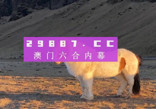 澳門天天彩資料正版免費特色快8，探索彩票世界的魅力與機遇，澳門天天彩正版特色快8，彩票世界的魅力與機遇探索