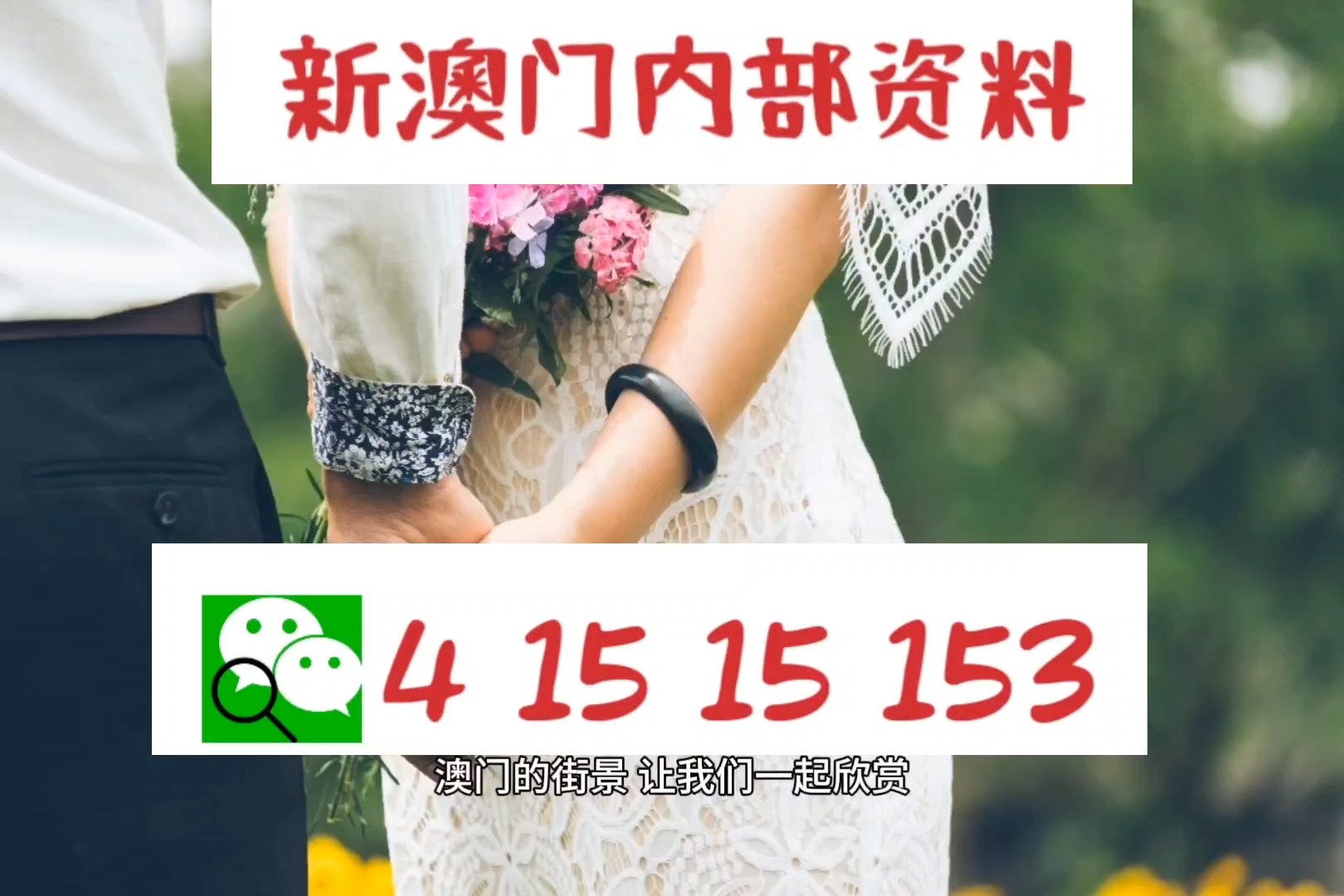 新澳平碼出碼公式，揭秘背后的秘密與策略，揭秘新澳平碼出碼公式，背后的秘密與策略解析