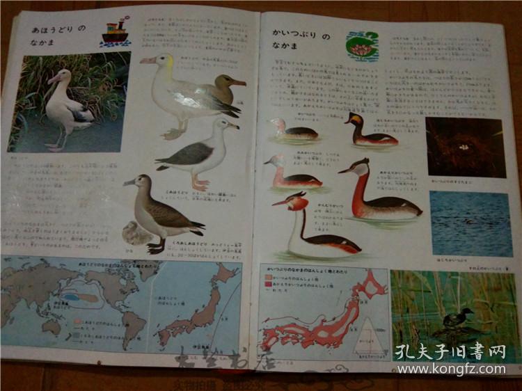 今日正版跑狗圖分享，探索7777788888跑狗圖的魅力，今日正版跑狗圖分享，探索魅力十足的777778跑狗圖