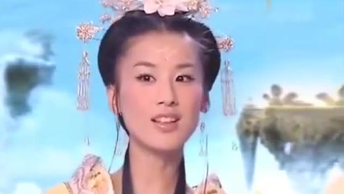 曾道道人資料免費大全，深度探索與解析，曾道道人資料深度解析與免費大全探索