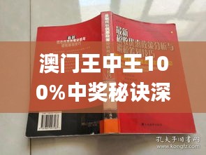 新澳門王中王期期中，探索與解析，新澳門王中王期期中，深度探索與解析