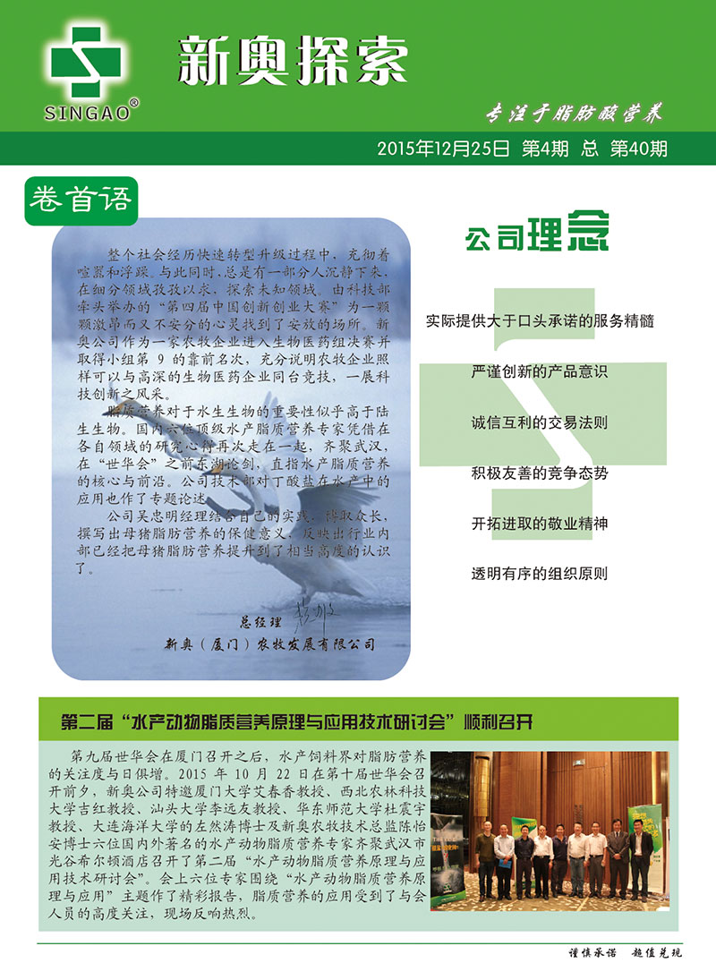 2025新澳正版資料查詢指南，2025新澳正版資料查詢手冊