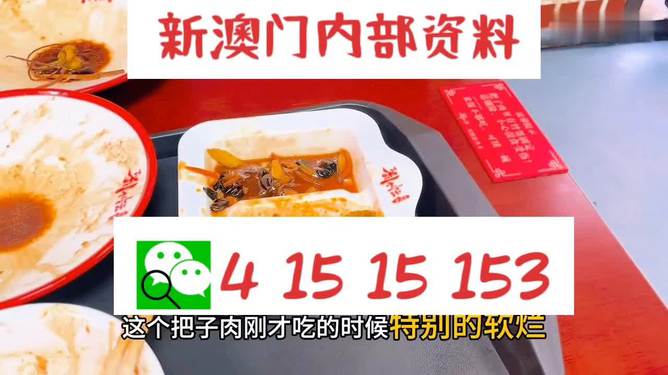 澳門王中王六碼新澳門，探索與解析，澳門王中王六碼新澳門，深度探索與解析