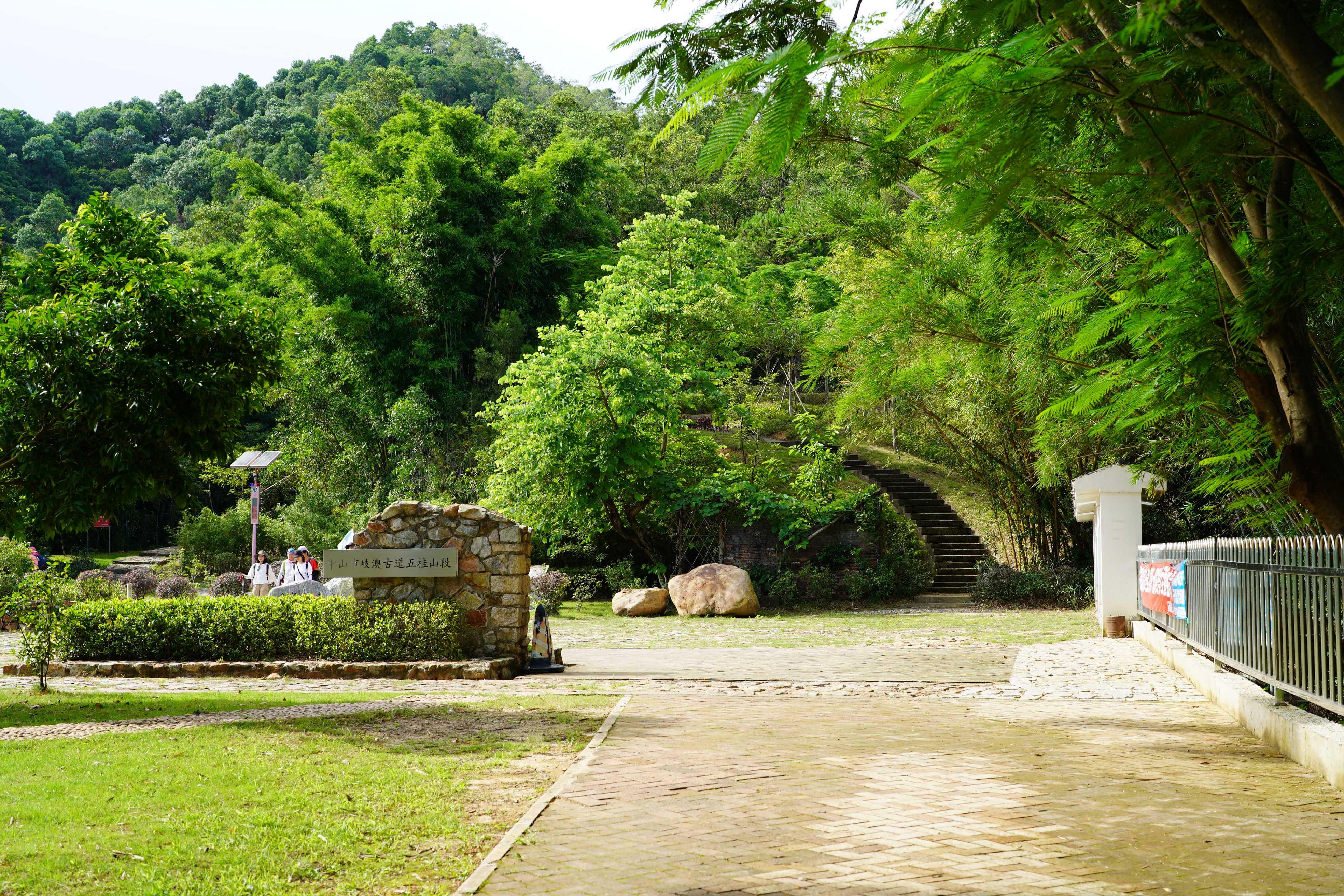 新澳門波色走勢(shì)圖表大全，深度解析與預(yù)測(cè)，澳門波色走勢(shì)圖表解析與預(yù)測(cè)大全