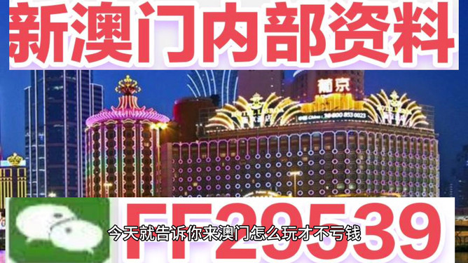 澳門今晚必開一肖——揭秘生肖彩票的魅力與策略，澳門生肖彩票揭秘，策略與魅力探索