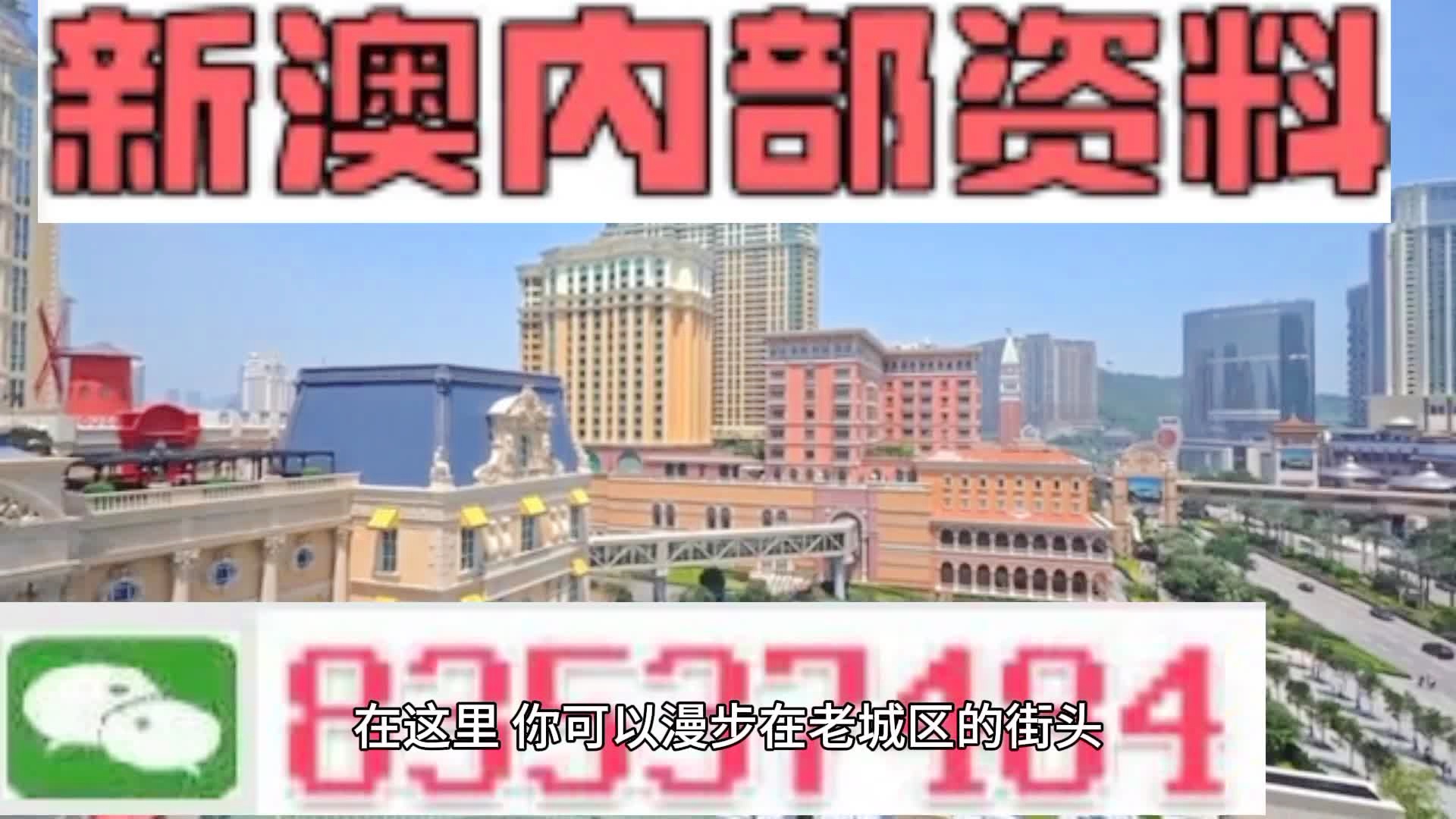 新澳門期期準精準，探索澳門的未來與SEO策略，澳門未來展望與SEO策略探索，精準瞄準新機遇