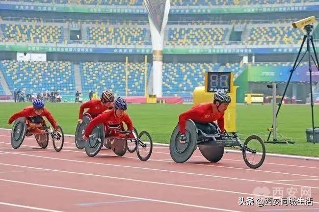 2025年澳門精準免費大全——全面解析澳門未來展望與特色體驗，澳門未來展望與特色體驗解析，澳門精準免費大全（2025版）