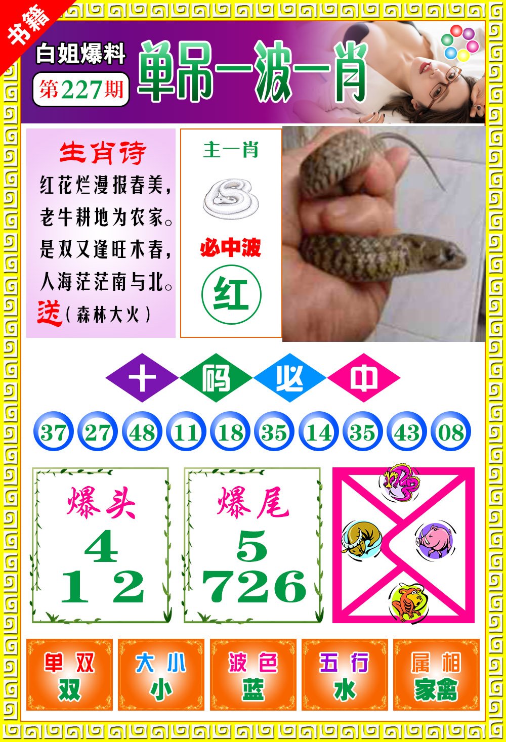 王中王100期期一肖，深度解析與SEO優(yōu)化策略，王中王100期期一肖深度解析與SEO策略全解析
