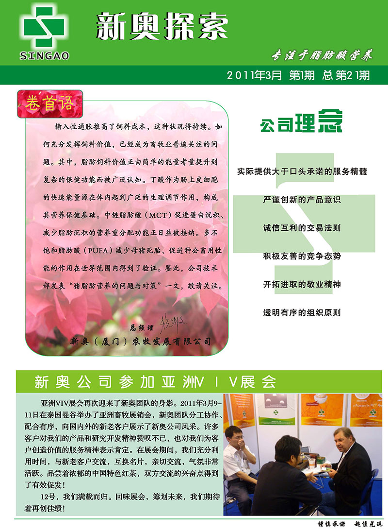 2025新澳正版資料精準解析與預(yù)測，2025新澳正版資料精準解析與趨勢預(yù)測