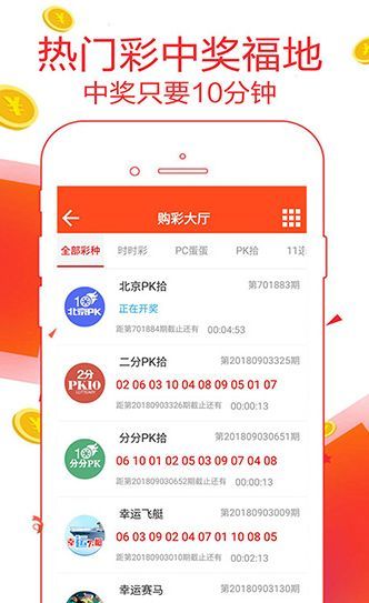 王中王一肖恃com，深度解析與SEO優(yōu)化策略，王中王一肖恃com，全面深度解析與SEO優(yōu)化策略探討