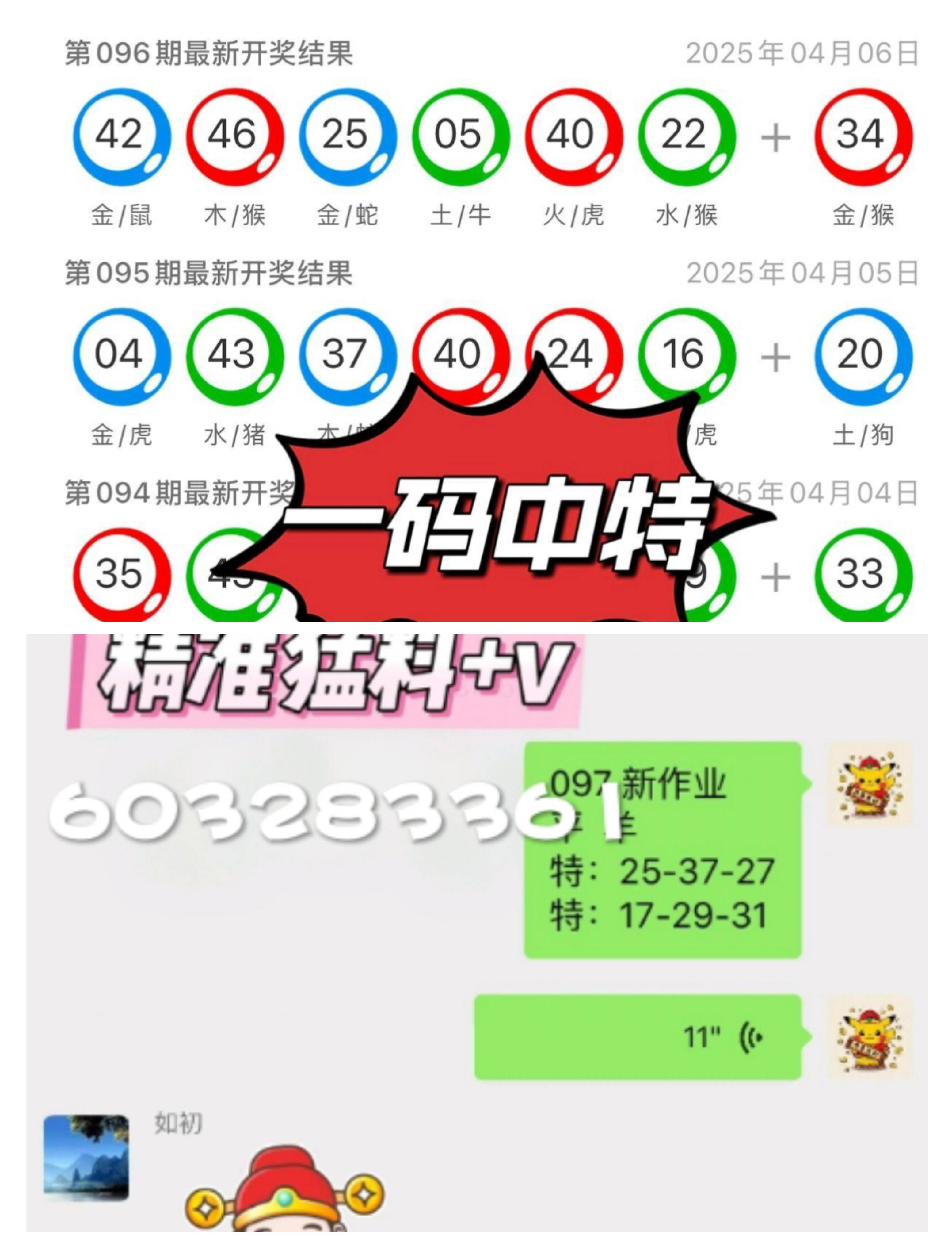 澳門一肖一碼中的奧秘與探索，澳門一肖一碼中的奧秘揭秘與探索之旅