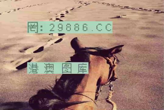 香港特馬資料王中王24期，深度解析與探索，香港特馬資料王中王深度解析與探索，第24期探索之旅