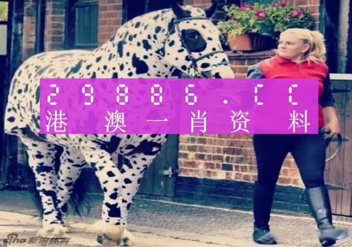 香港網(wǎng)址王中王一肖中特，探索與解析，香港網(wǎng)址王中王一肖中特，深度探索與解析